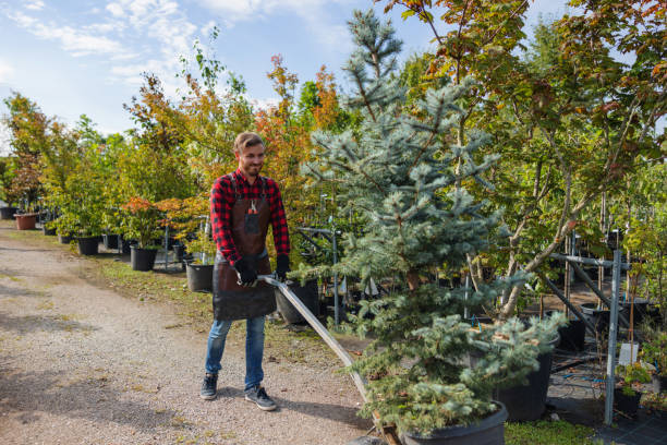 Best Landscape Design and Installation  in Isanti, MN
